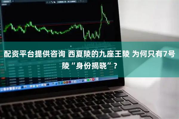 配资平台提供咨询 西夏陵的九座王陵 为何只有7号陵“身份揭晓”？